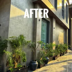 After: The same walkway transformed into a bright and welcoming path. I used a mix of real and artificial plants in modern planters to create a beautiful, low-maintenance green border.