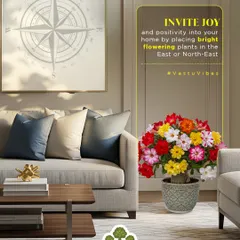 Invite joy and positivity into your home by following Vastu principles. Placing bright flowering plants in the East or North-East is believed to fill your home with harmony and good vibes.