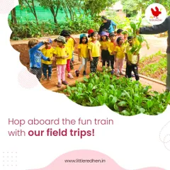 Hop aboard the fun train with our field trips. These yearly expeditions are filled with laughter, learning, and lifelong memories, sparking curiosity and a love for exploration.