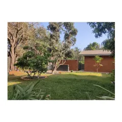 The main lawn area for a residential project provides a versatile open space for recreation and relaxation. It is intentionally designed to be surrounded by the property's magnificent existing trees, including mangoes and tamarind.