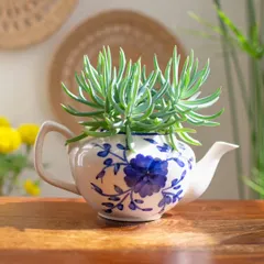 This hand-painted teapot planter is one of my most whimsical pieces. It’s perfect for adding a touch of magic to your plant corner, especially for housing a lovely succulent.