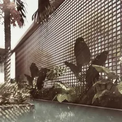 A close-up of the pool at the House of Veils. The water is edged with tropical plants and a delicate screen facade, creating a private oasis that feels both lush and integrated with the architecture.