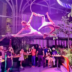A beautiful moment from a duo performance on the aerial hoop. This kind of synchronized work relies on both artists having a deep understanding of their flexibility and control, especially in poses like this shared split.