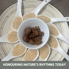 Honoring nature's rhythms on Makar Sankranti with sesame and jaggery. This festival marks a seasonal transition, and Ayurveda offers wisdom on how to maintain balance through diet.
