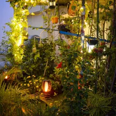 A mix of lighting creates layers of warmth. Here, solar torches light up the pathway while fairy lights twinkle above, making the garden feel like a magical forest at night.