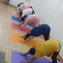 Students in a group class holding Adho Mukha Svanasana (Downward-Facing Dog). This foundational pose is excellent for stretching the entire body, building upper body strength, and energizing the mind.