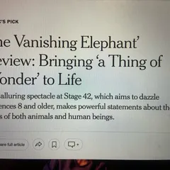 A screenshot of the New York Times review, which named 'The Vanishing Elephant' a Critic's Pick. Seeing our work recognized as a 'thing of wonder' is an honour I share with the entire team.