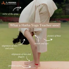 When you look at a yoga posture, you might see a physical stretch. When I see a student in an asana, I see a universe of details. I observe the precise curve of the spine, the alignment of limbs, the flow of breath, and the focus in the eyes. This is the science of Classical Hatha Yoga, where every detail matters for your inner transformation.