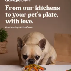 From my kitchens to your pet's plate, every meal is sent with love. I oversee the crafting of each meal to ensure it's made with care and premium ingredients, just like this bowl for an adorable Frenchie.