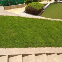 A key feature of our intensive gardens is a healthy, manicured lawn. We use high-quality turf and ensure proper soil depth and drainage for a durable and vibrant green surface, perfect for recreation.