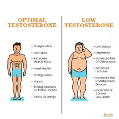 This graphic compares the effects of optimal versus low testosterone levels. If you're experiencing symptoms like low energy or depression, it's worth checking your levels, as diet can play a role in hormonal health.