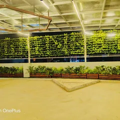 Our vertical gardens can transform large commercial spaces. This installation on a rooftop terrace creates a massive green backdrop, beautifully illuminated at night for a breathtaking effect.