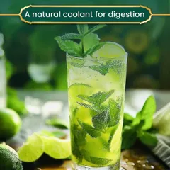 Mint, or Pudina, is a natural coolant that is excellent for digestion. Adding it to your water or meals during the summer helps soothe the stomach and provides a refreshing, cooling effect on the body.