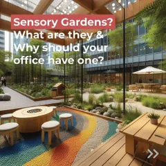 Have you considered a sensory garden for your office? These spaces engage all five senses to reduce stress, boost creativity, and improve employee well-being.