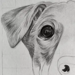 A work-in-progress of the dog's eye. You can see the grid lines I use for placement and the initial layers of pencil shading.