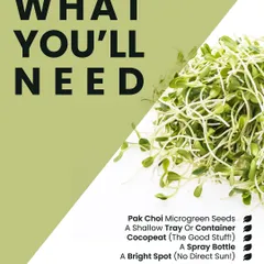 Here's what you'll need to grow your own Pak Choi microgreens: seeds, a shallow tray, cocopeat, a spray bottle, and a bright spot without direct sun. It's that simple.