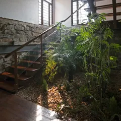 Details are everything in creating a truly organic space. Here, a staircase made of local wood is set against a wall of stone recovered from the site, with an indoor garden of river gravel and native plants thriving below. It's a celebration of natural, locally sourced materials.
