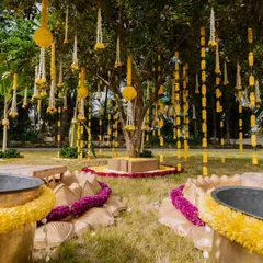 A classic outdoor Haldi setup. The decor features large brass urlis for the ceremony, surrounded by marigold garlands and lotus-shaped floor decorations, all centered around a beautifully decorated tree.