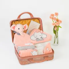 This shot reveals the contents of a baby girl hamper packed in a vintage-style suitcase. It showcases a complete gift set, including clothes, a soft toy, and a blanket.