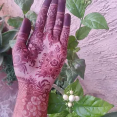 Here is the same hand after the paste has been removed and the stain has fully developed. You can see the beautiful, deep maroon color that my organic henna produces.
