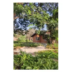 Another view of the residential landscape, where the architecture is nestled within the lush, established garden. The building occupies the space below the canopy, respecting the presence of the mature trees.
