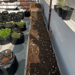This is the DIY raised garden bed I built, all filled up with my special potting mix and ready for planting. Creating your own garden beds allows you to customize the size to fit your terrace perfectly. It's a lot of work, but very satisfying.