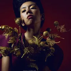 For this high-fashion concept, the theme was gold. I created a dramatic, sparkling gold eyeshadow look that catches the light, paired with a strong, sculpted face against a rich red background.