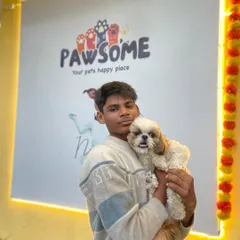 Another happy visitor. This adorable Shih Tzu is feeling fresh and clean after a day at our parlour. We love working with small breeds and making them feel comfortable and pampered.