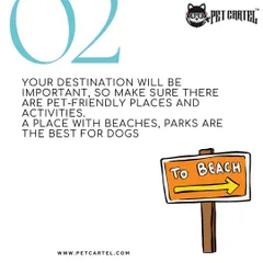 Your destination choice is important for a successful pet-friendly holiday. Look for places with accessible outdoor activities like beaches and parks where your dog can run and play freely.