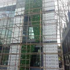A view of a multi-story building facade during the installation of a tall vertical garden. The scaffolding shows the scale of the work we handle.