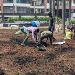 Our team is enriching the soil with a compost mixture. This crucial step ensures the new lawn has the nutrients it needs to establish strong roots and thrive.