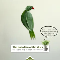 The guardian of the skies. Bamboo filters toxins and releases oxygen, providing shelter and a healthy environment for parrots to sing freely.