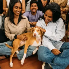 Our office mascot, Steffi, getting some love from the team. Having a pet-friendly office brings so much joy and helps create a relaxed, positive atmosphere for everyone.