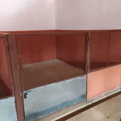 This view shows the sturdy construction and secure latching system on our kennels. We ensure every dog has a safe, personal space.