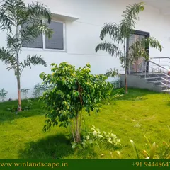 A clean and well-maintained lawn is essential for any commercial property entrance. Here, we have established a healthy green space with carefully selected palm trees and shrubs to create a professional first impression.