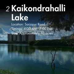 Kaikondrahalli Lake on Sarjapur Road is another fantastic 10-acre spot, perfect for a scenic and refreshing walk with your dog.