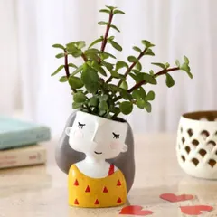 This sweet, girl-faced planter holding a lush Jade plant adds a touch of innocence and charm to any room. It's a wonderful gift that combines artistic design with the beauty of nature.