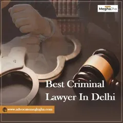 As a criminal lawyer in Delhi, I handle a wide range of cases under the Indian Penal Code. This graphic shows my commitment to providing a strong defense for those facing serious criminal charges.