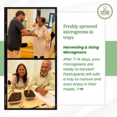 Participants at a microgreens workshop at the DLF Golf & Country Club. Everyone leaves with their own tray of freshly sown microgreens to nurture and harvest at home.