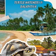 Explore the best of Sri Lanka in just 6 days. Our package covers everything from elephant sanctuaries in Kandy and tea trails in Nuwara Eliya to beach time and turtle hatcheries.