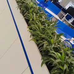 A closer look at the built-in planters that run alongside the office cubicles. We selected hardy, low-light tolerant plants that thrive indoors and require minimal maintenance, ensuring the workspace remains green and vibrant with little disruption.