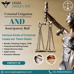 We handle a wide variety of criminal cases, including those directly related to financial disputes. Our team is experienced in litigation for cheque bounce cases, financial and banking frauds, forgery, and other economic offenses.