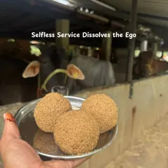 Selfless service dissolves the ego. At the ashram, I learned that true yoga is a lifestyle rooted in discipline, surrender, and inner clarity.