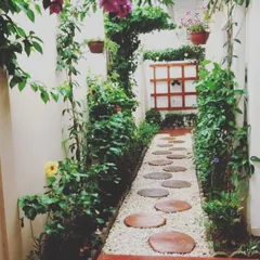 A perfect solution for a narrow walkway. This beautiful corridor garden features a path of round stepping stones set in white gravel, flanked by lush climbing plants and hanging baskets, creating a secret garden feel.