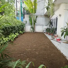 The first step is to prepare the foundation. I removed the old, unhealthy grass and tilled the soil, getting it ready for a fresh layer of nutrient-rich topsoil.