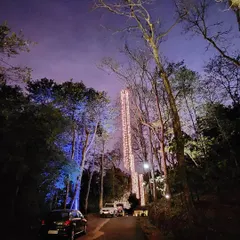 An enchanting view of the entrance to a Malnad wedding venue. We installed tall, cascading curtains of light among the trees, creating a breathtaking spectacle against the twilight sky that welcomed guests from afar.
