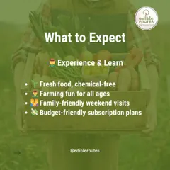 What can you expect from our Farmlet service? Fresh, chemical-free food, fun farming experiences for all ages, family-friendly weekend visits, and budget-friendly subscription plans that make healthy eating accessible.