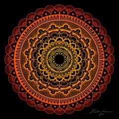 My first attempt at creating a mandala on Procreate. I love the glowing effect I was able to achieve with the orange and yellow gradient on a black background.