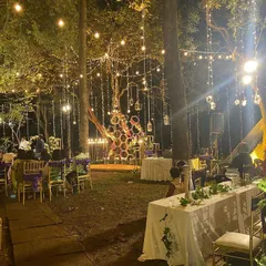 A wide view of the magical lighting at the Ecumenical Christian Center reception. Hanging fairy lights and Edison bulbs strung between the trees created a canopy of light over the entire event space.