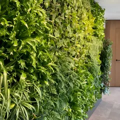A close-up view reveals the intricate detail and rich texture of our living walls. We meticulously select a diverse range of plant species to create a dense, multi-layered tapestry of foliage that is both visually dynamic and sustainable.